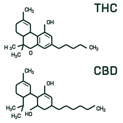 CBD-Shops und Hersteller auf Cannabidiole.de