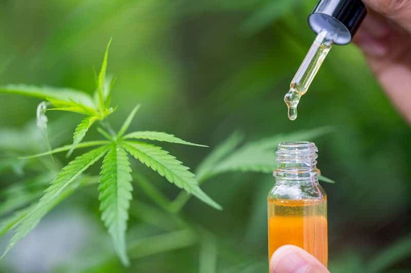 Zur Dosierung von CBD-Öl hilft eine Pipette