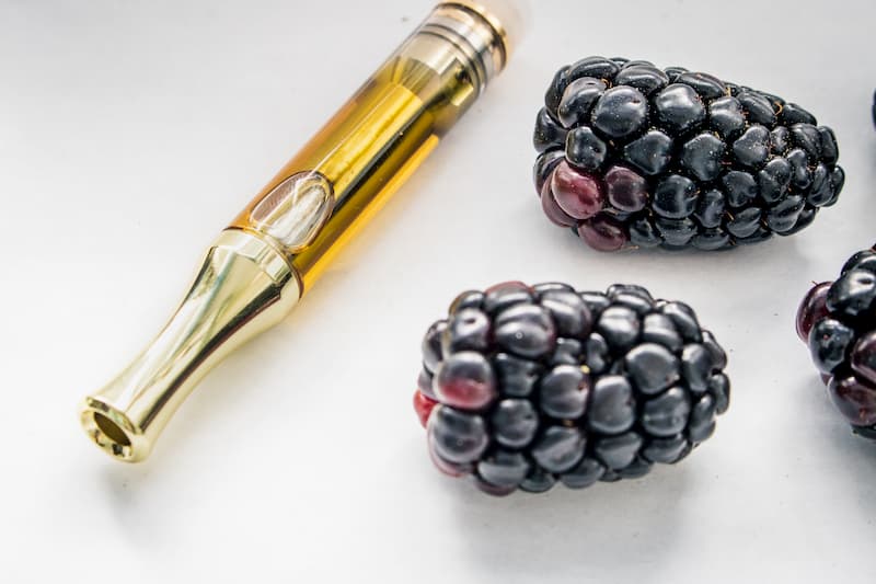 vape-geraet-und-brombeeren